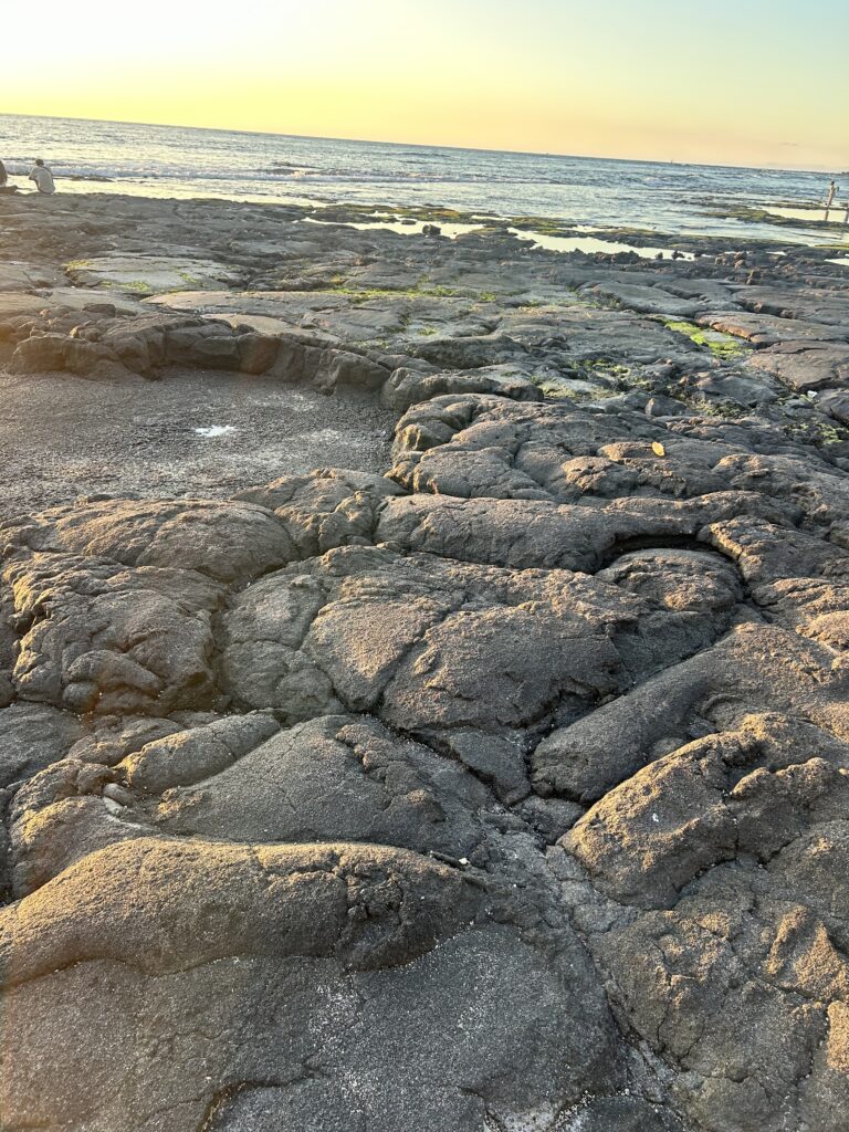 Typical ocean front, lots of lava rock